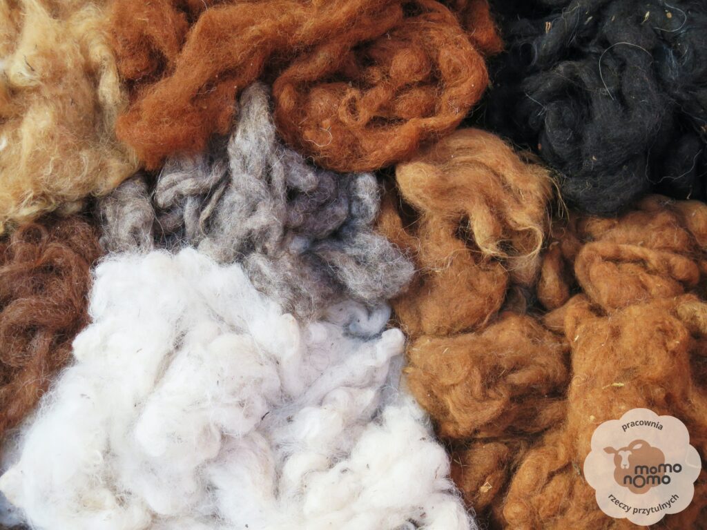 różne kolory wełny peruwiańskich alpak